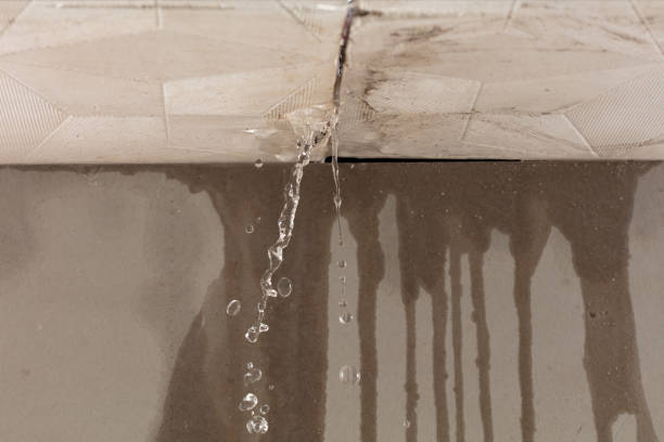 Professional Flood Damage Cleanup technician working in Downing, WI
